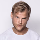 Logo de DFM - Avicii