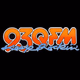 Logo de 93 QFM