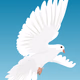 Logo de victory4christ radio
