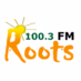 Logo de Roots FM 100.3