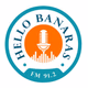 Logo de Hello Banaras 91.2 FM