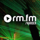 Logo de RauteMusik - HardeR
