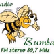 Logo de Radio Bumbar