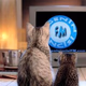 Logo de Egeninincisi FM