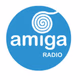 Logo de Amiga Radio Nerja 101.8