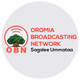 Logo de OBN Radio