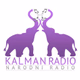 Logo de Kalman Radio