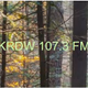 Logo de KRDW 107.3 FM - KRDW-LP