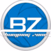 Logo de Bumping Zone
