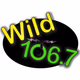 Logo de Wild 106.7