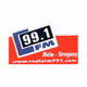 Logo de 99.1 FM