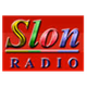 Logo de Radio Slon FM
