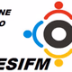 Logo de DESIFM & JATTFM