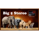 Logo de BIG 5 STEREO 2