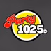 Logo de Party 102.5FM