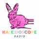 Logo de Kaleidoscope