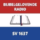 Logo de Bijbelgelovende Radio