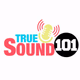 Logo de True Sound 101