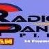Logo de Radio Panick Plus