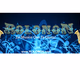Logo de RolononRadio
