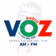 Logo de Radio La Voz del Sur Moquegua