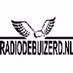 Logo de Radio Debuizerd
