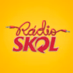 Logo de Rádio Skol Rock