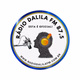 Logo de Rádio Dalila FM 87.5