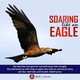 Logo de S.O.A.R. As Eagles Gopel Network