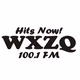 Logo de WXZQ 100.1 FM - WXZQ