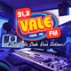 Logo de Vale FM 91.3