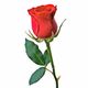 Logo de Rondallas Y Romance