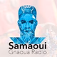 Logo de Radio Gnaoua - السماوي ، إذاعة كناوة
