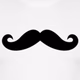 Logo de plainslender