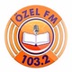 Logo de Özel FM