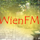 Logo de wienfm