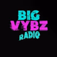 Logo de BIG VYBZ RADIO