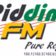 Logo de Riddim FM