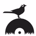 Logo de The Backyard Project Radio