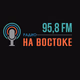 Logo de Радио на востоке