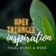 Logo de Apex Triangle Inspiration