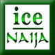 Logo de Ice Naija