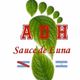 Logo de ADH Sauce de Luna