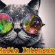 Logo de Radio Intensiva 24h