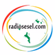 Logo de Radiosesel
