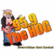 Logo de 95.9 The Hog - WRZK