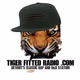 Logo de Tiger Fitted Radio