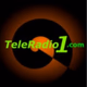 Logo de TeleRadio1