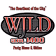 Logo de 104.1 FM WJLD - WJLD