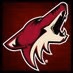 Logo de Phoenix Coyotes Play by Play